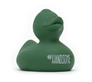 Handsome Wonder Duck