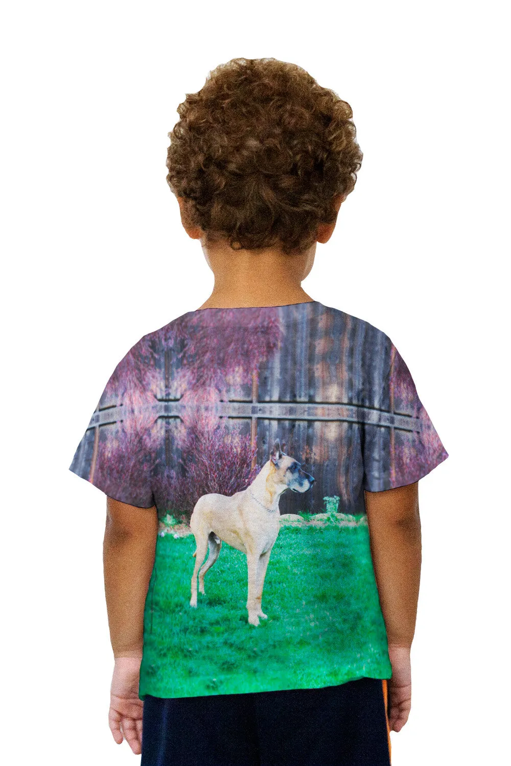 Kids Prestigious Great Dane
