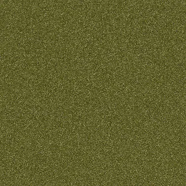 Prestigious Residential Carpet