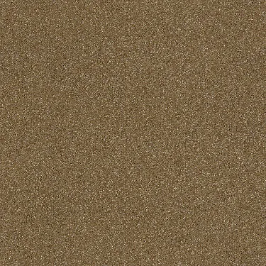 Prestigious Residential Carpet