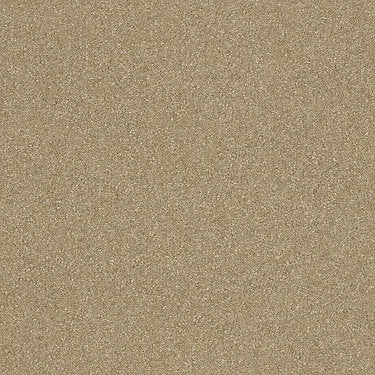 Prestigious Residential Carpet