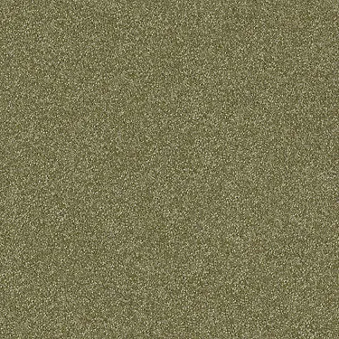 Prestigious Residential Carpet