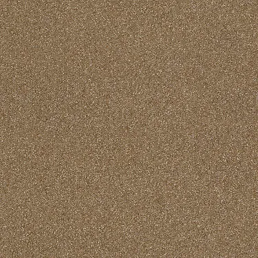 Prestigious Residential Carpet
