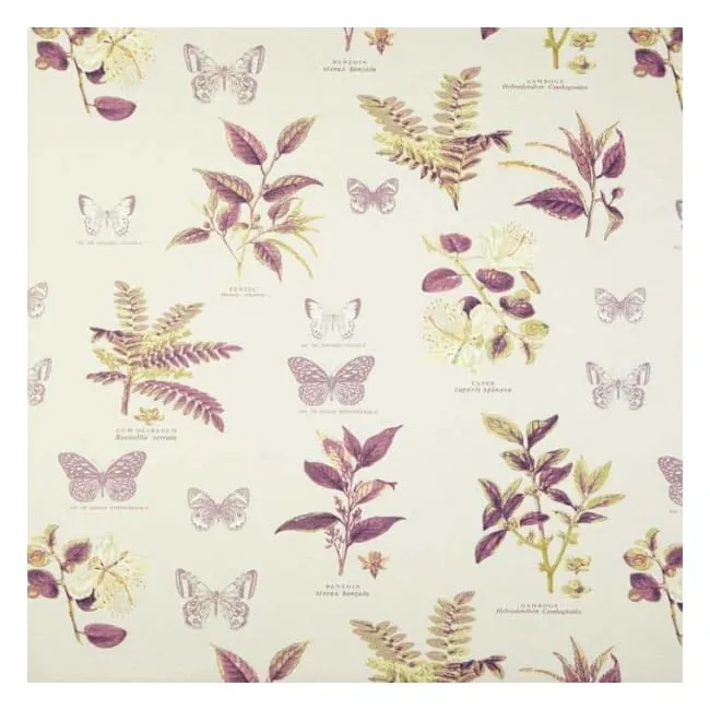 Prestigious Textiles BOTANY Fabric